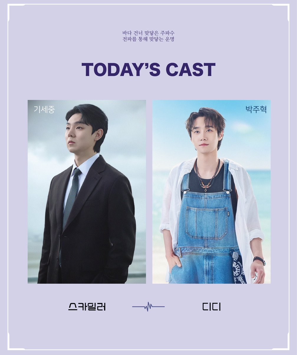 콩나물 tweet media