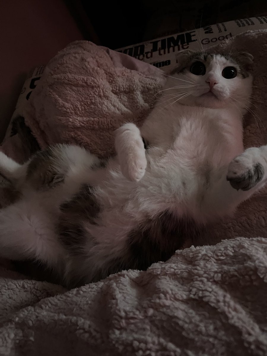 генерал tweet media