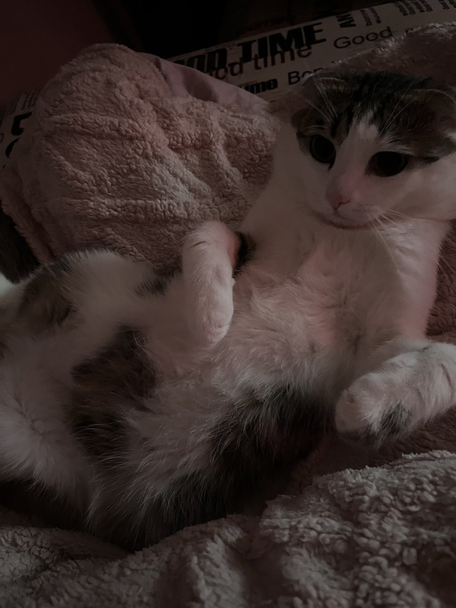 генерал tweet media