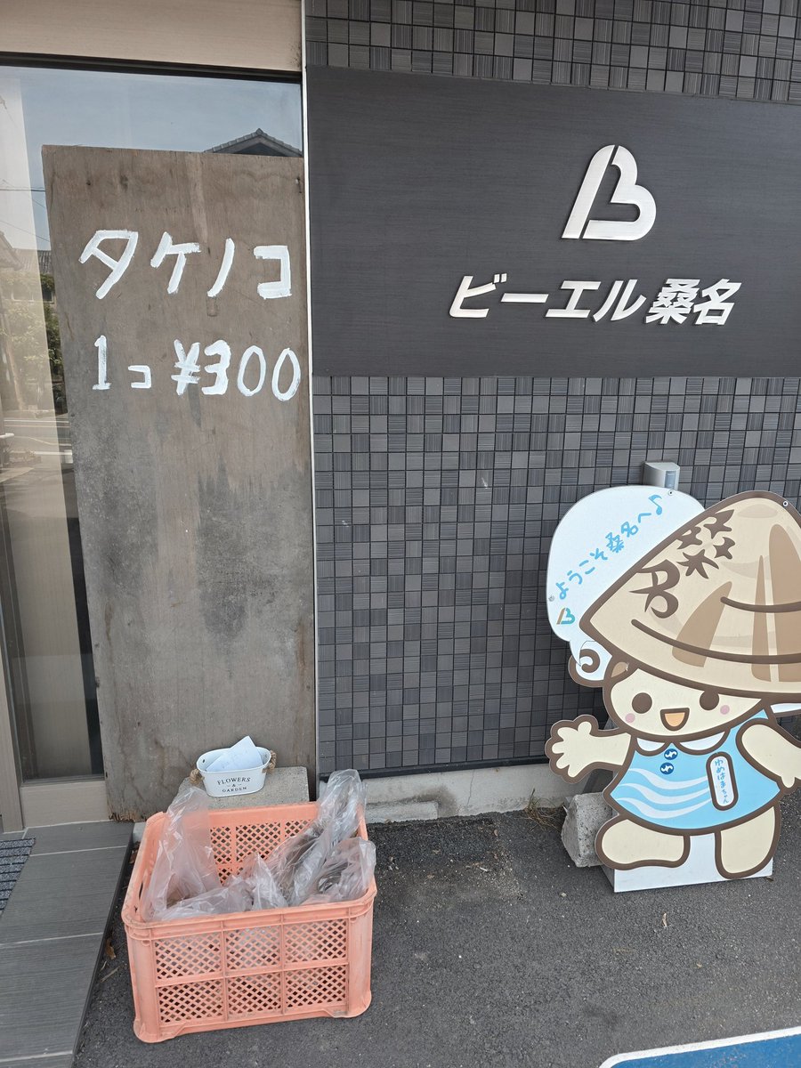 hotelbl's tweet photo. たけのこ無人販売第５回目！

もうそろそろ時期が終わりそうな気配。
小さめのサイズはまとめて袋に入れてありますので小降りが好みの人はそちらをどうぞ。 https://t.co/P0jZJpwBzX