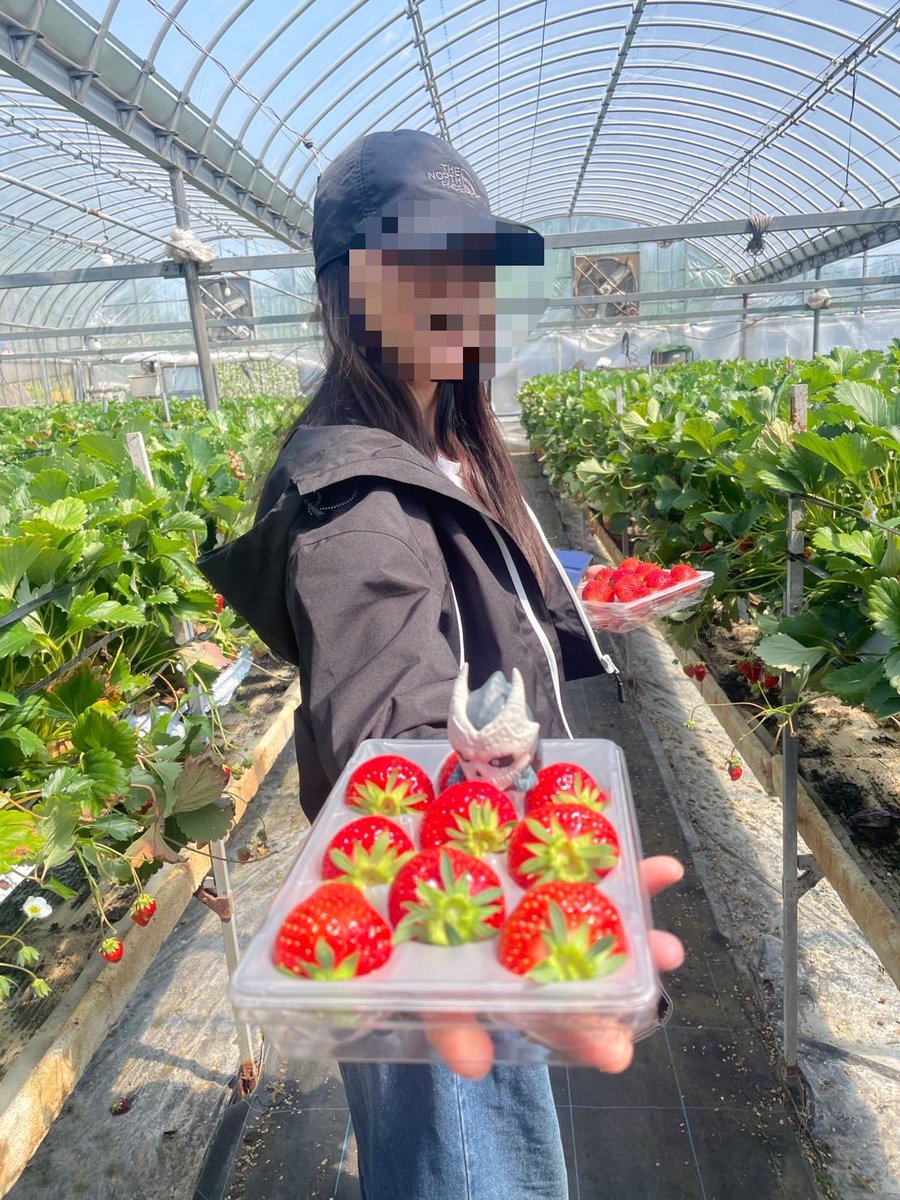 ぎの しゃーく tweet media