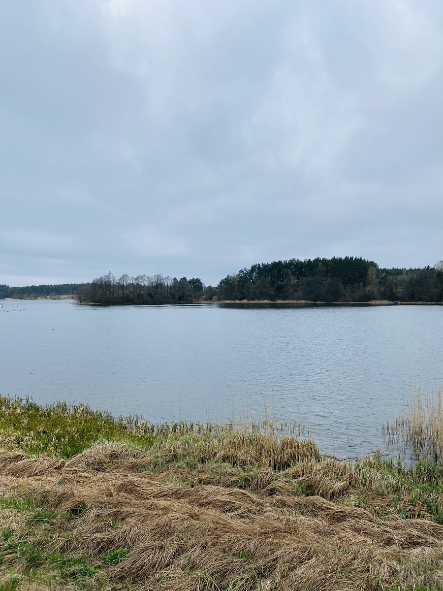 Rafał Mandes tweet media