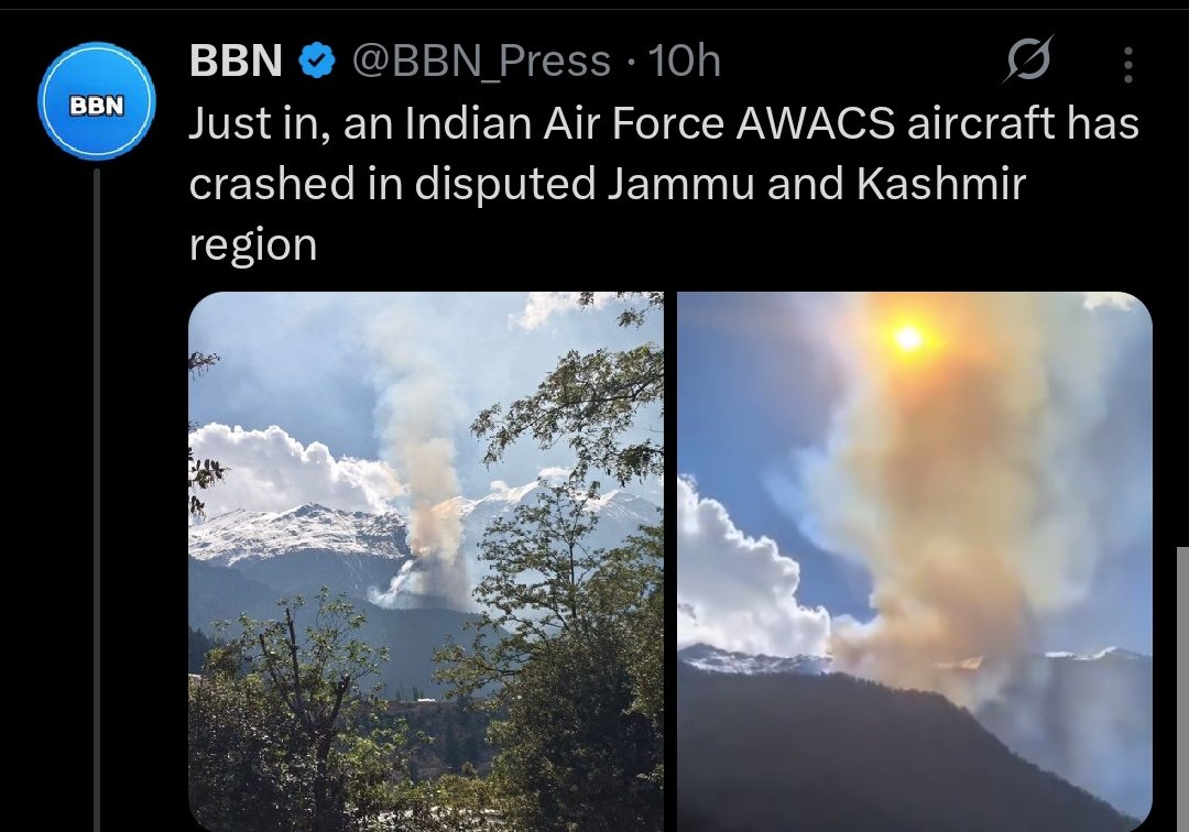 Maddy tweet media