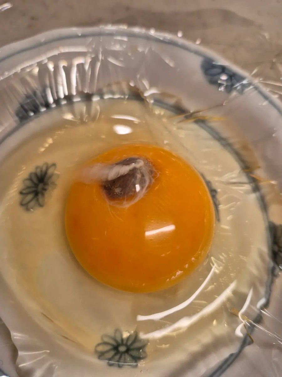 ネットで話題の動画 tweet media