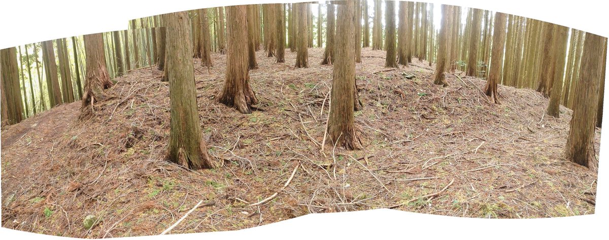 syoukann1's tweet photo. 今日は伊賀市老川の北谷城。伊賀市東部の山間地ながら
島野氏城、奥ノ谷城、峯出城、若山氏城等の城館がある。若山氏城の北の尾根筋に老川如来道と言う古道沿いに北谷城がある。古道の西の阿保の桐之木には同じような砦が三つある。 https://t.co/ZP0Kcf6wPH