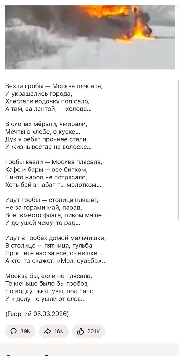 Троєщинський Котоведмідь tweet media