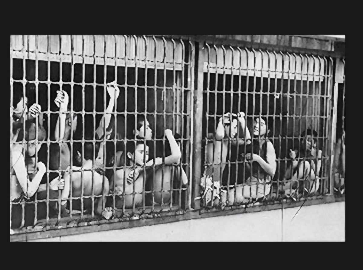 빈곤과 차원이 다르지만 내가 전후 일본 사진 중 가장 충격 받았던 사진
공습과 징병으로 고아가 다수 발생 했고 이들을 도망가지 못 하게 우리에 수용 했었다는 사진. 일본이란 나라는 식민지만 아니고 자국민에게도 잔인한 나라였다.