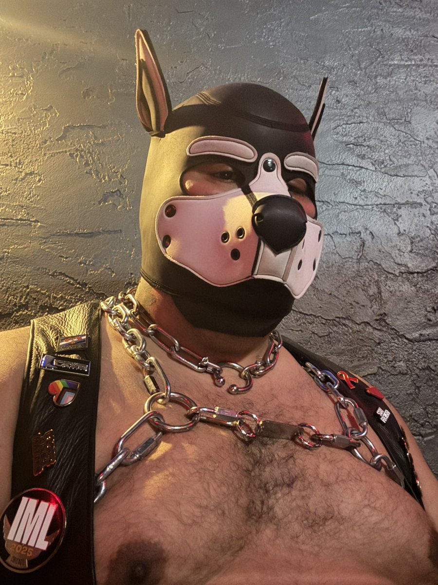 𝕺𝖈𝖊𝖑𝖔𝖙 𝕺𝖓𝖞𝖝 tweet media