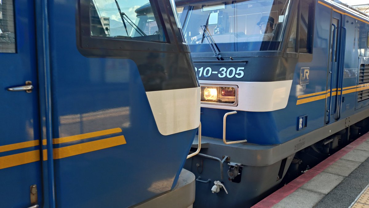 まさまさ tweet media