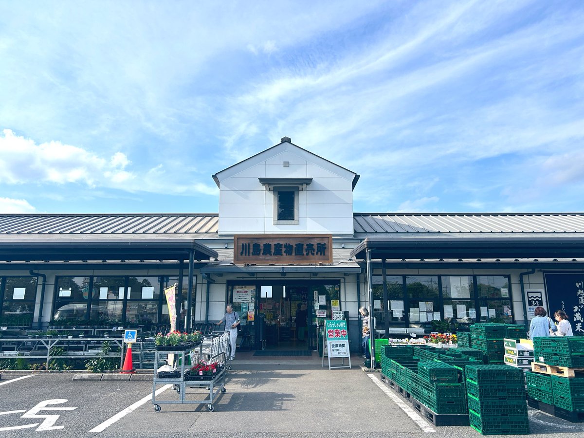 バーバラ亜紀 tweet media