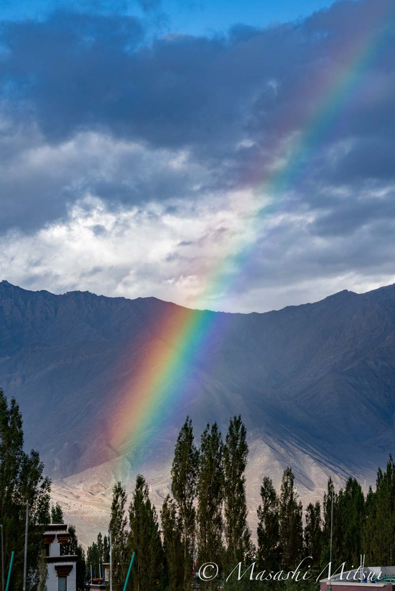 三井昌志 tweet media