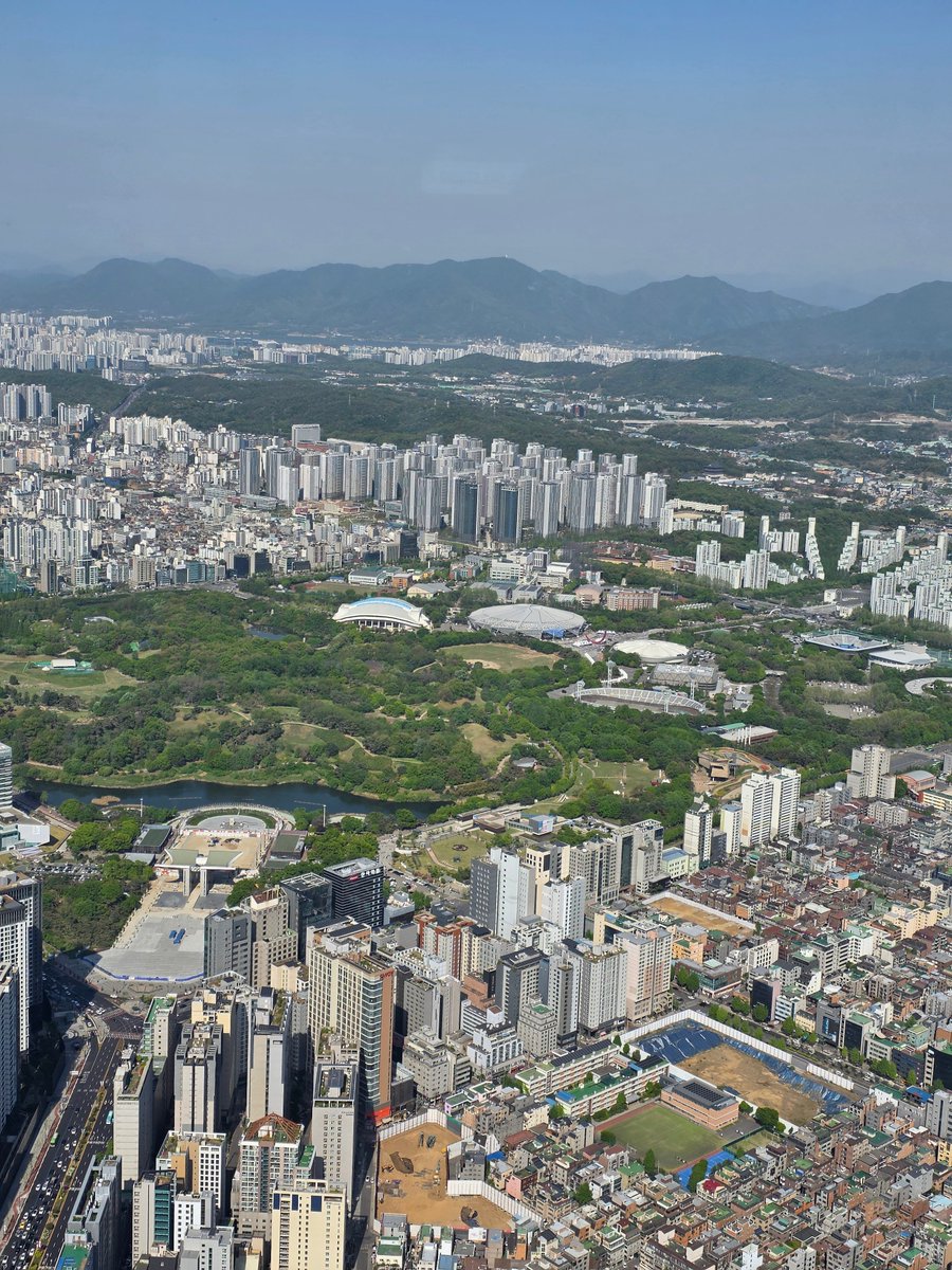 표고しいたけ tweet media