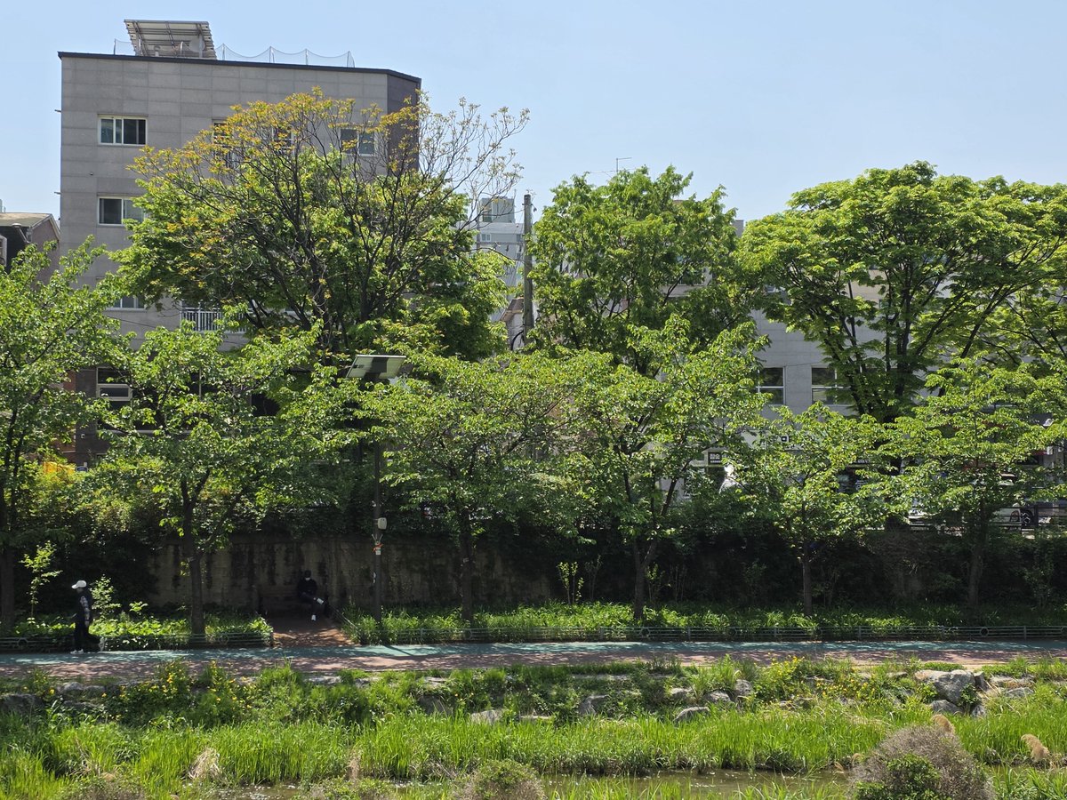 표고しいたけ tweet media