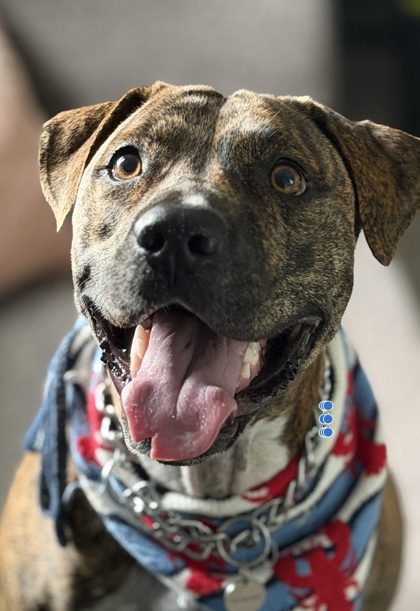 Haglund_Group tweet media