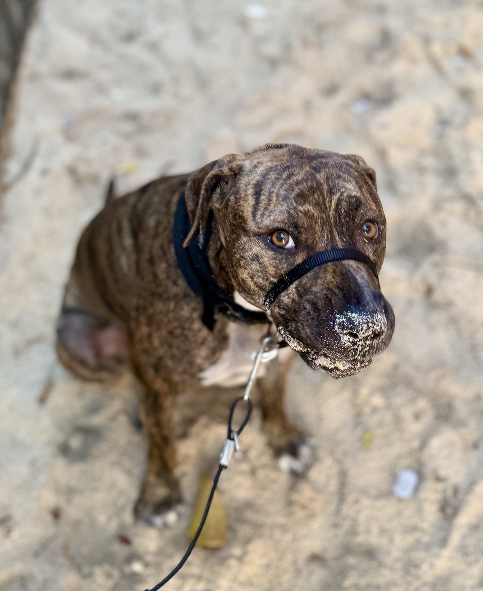 Haglund_Group tweet media