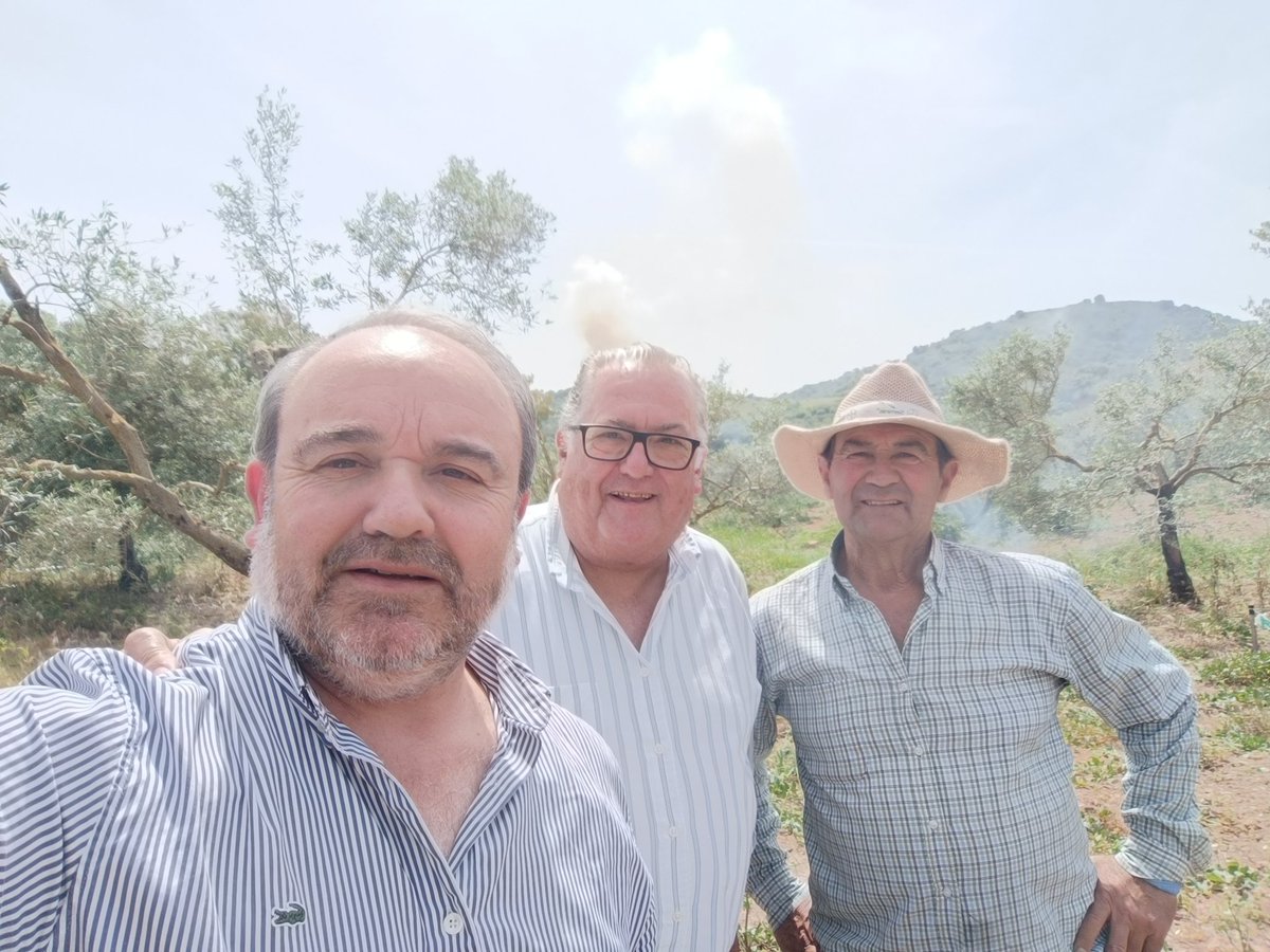 SanromanAlb's tweet photo. En #Coripe con Pepe Godino, alcalde, visitando los tajos de olivar de montaña y el espectacular entorno natural.
Agricultura, turismo y medioambiente, tres actividades que conviven en uno de los municipios más bellos de Andalucía.
@PPdeSevilla
#Agricultura https://t.co/WUgLiw9674