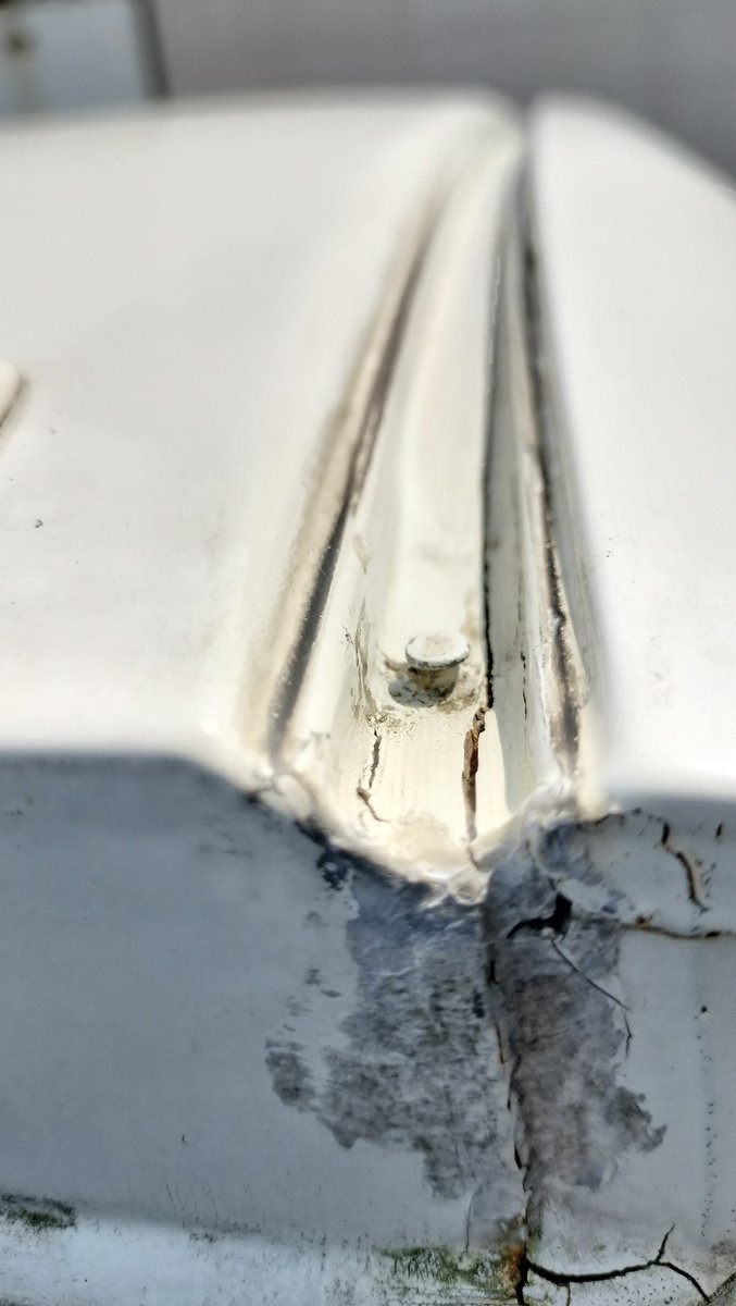 てしこうべ tweet media