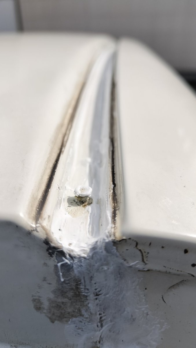 てしこうべ tweet media