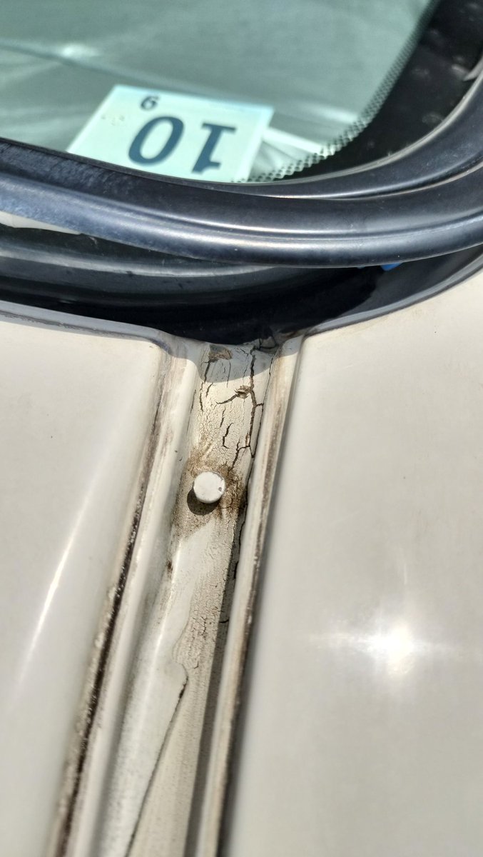 てしこうべ tweet media