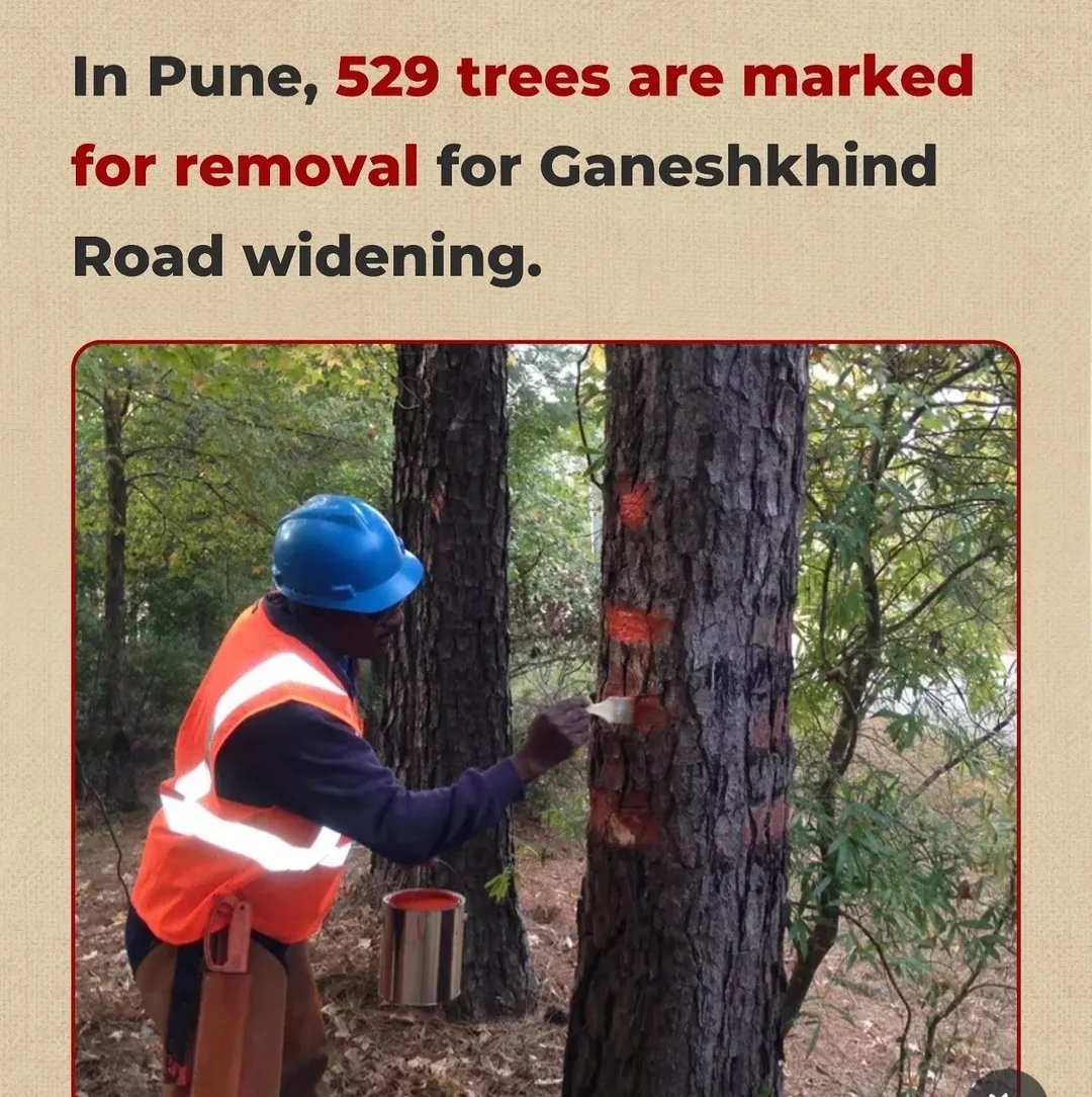 ParvarajK's tweet photo. @Dev_Fadnavis @narendramodi @AmitShahStop axing 50-100 yr old trees for "development" in Maharashtra. One old banyan = home to 300+ species + natural AC for us. We cut them, we face 45°C+ heatwaves. Save our green elders before Mumbai turns into an oven. https://t.co/cogdZ9Cg9y