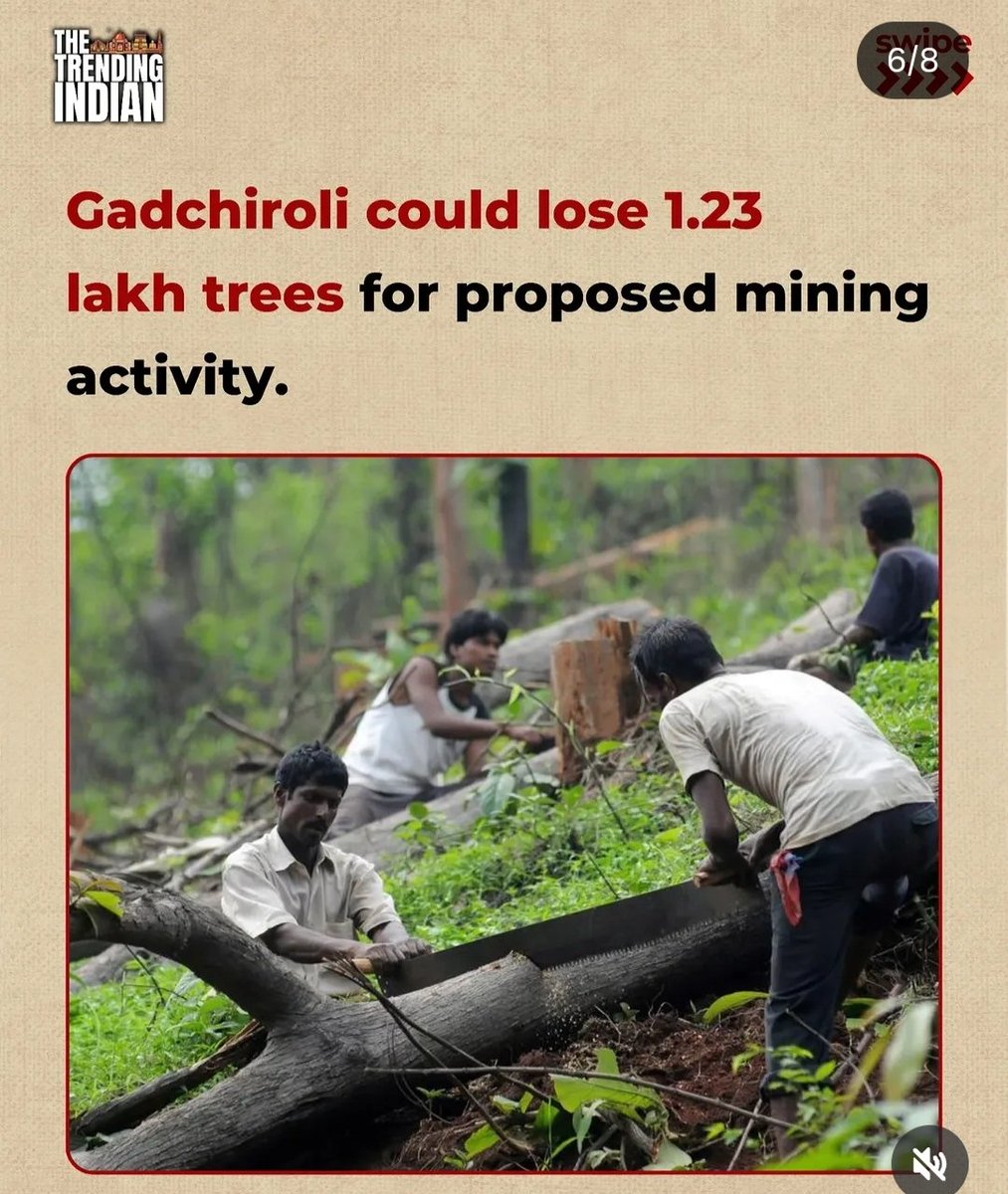ParvarajK's tweet photo. @Dev_Fadnavis @narendramodi @AmitShahStop axing 50-100 yr old trees for "development" in Maharashtra. One old banyan = home to 300+ species + natural AC for us. We cut them, we face 45°C+ heatwaves. Save our green elders before Mumbai turns into an oven. https://t.co/cogdZ9Cg9y