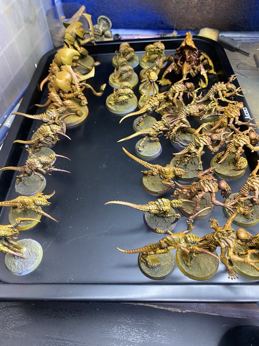 新しいカーネル警備隊🦜
めちゃくちゃビビって近づいて来ないのでペイント時の守護神になりそうです。
一列終わったのでお昼休憩