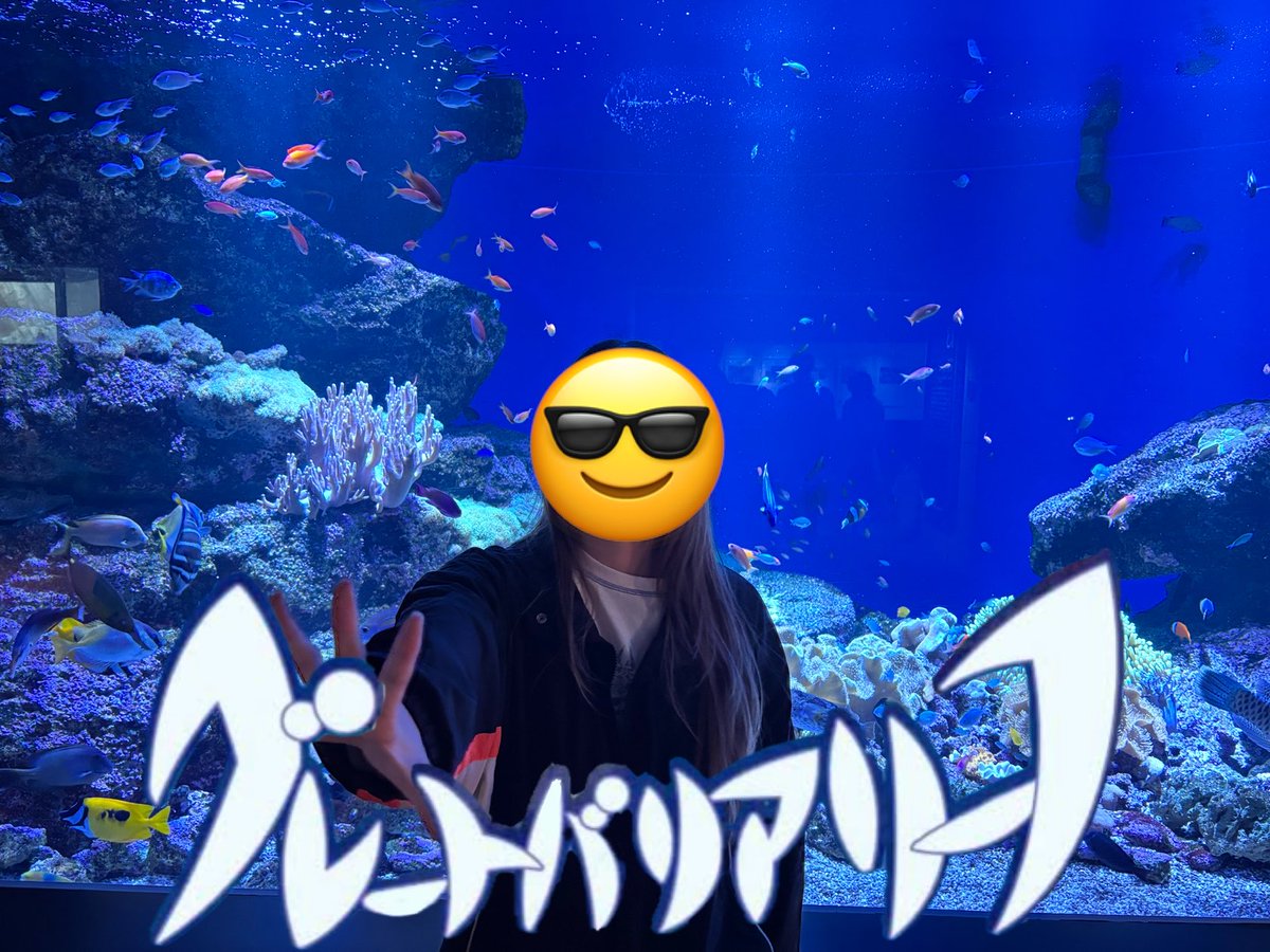 エンテレケイア tweet media