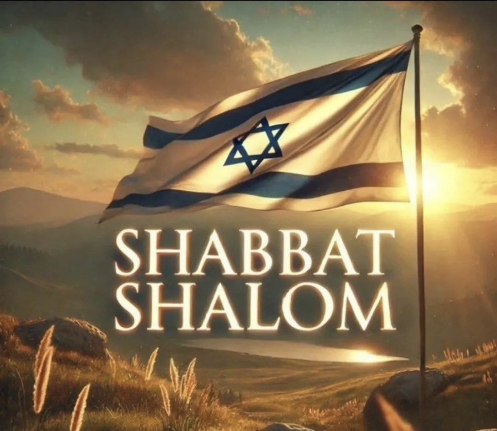 Jana 🇮🇷 tweet media