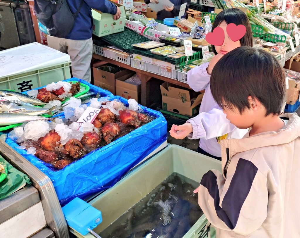#仙台朝市
ホヤ、シャコを品定めする
将来有望なお子さんたち