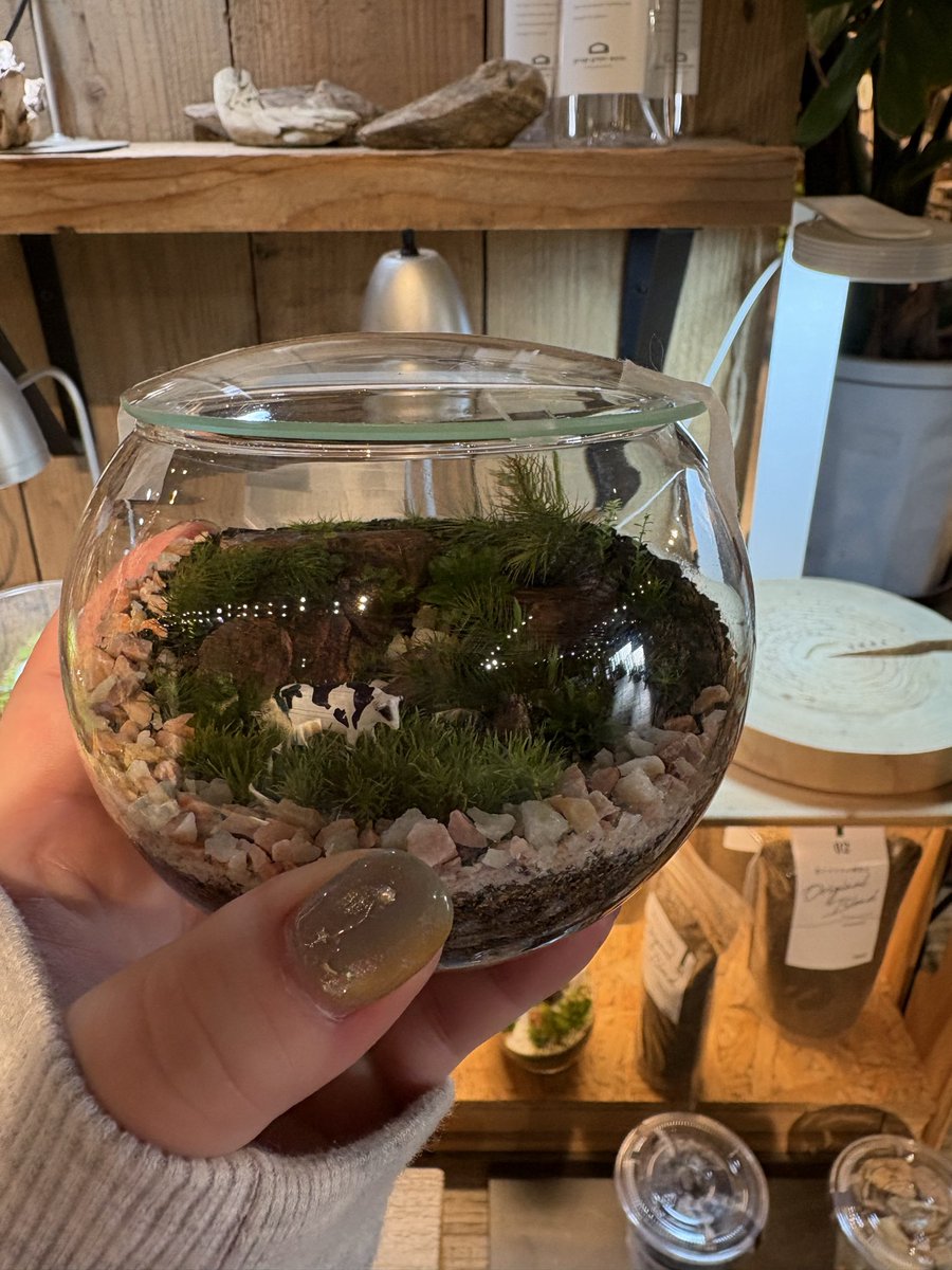 ゅぅ⑅︎◡̈︎* tweet media