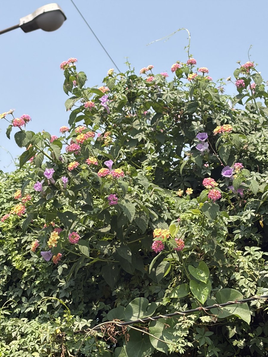 Pratik (@breathemessi___) on Twitter photo 