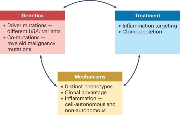autoinMI_tauli's tweet photo. VEXAS syndrome- Nature Reviews

⏩autoinflammatory syndrome caused by somatic UBA1 mutations ⏩mainly affecting older men with systemic inflammation, cytopenias &amp; hematologic features
⏩Steroids help, but stem cell transplant may be curative.

https://t.co/opJTzCp9K5 https://t.co/OfN62ByIr4
