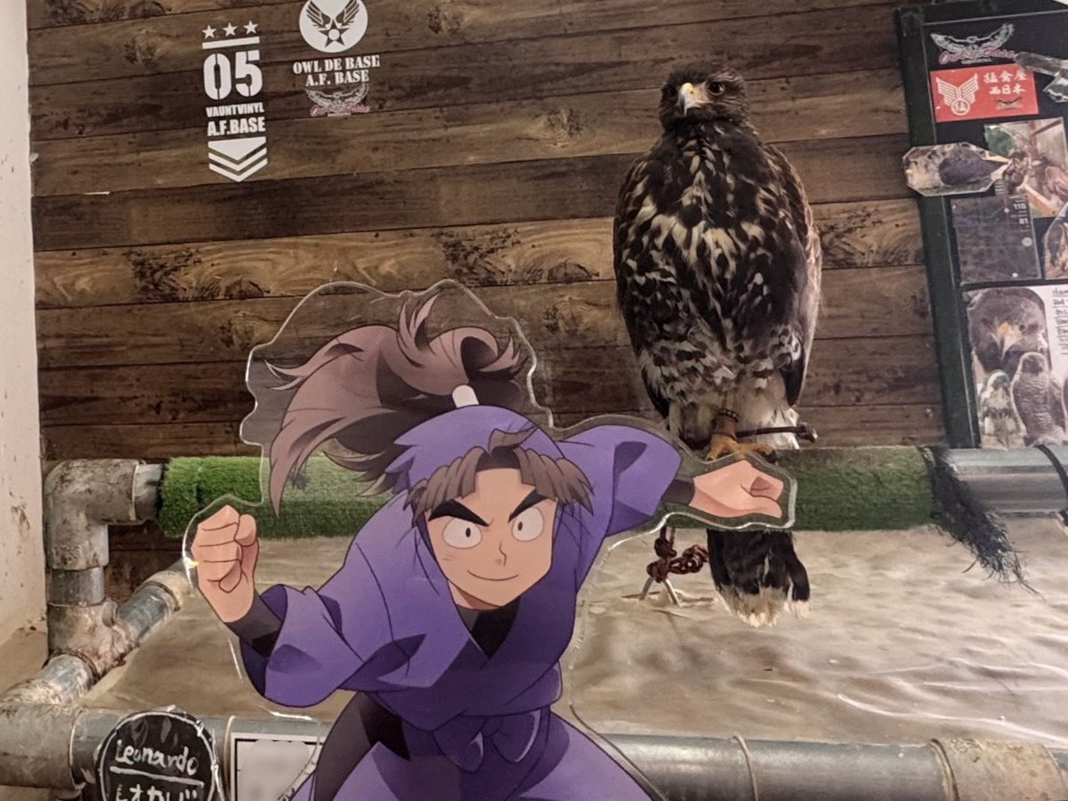 リリ子 tweet media