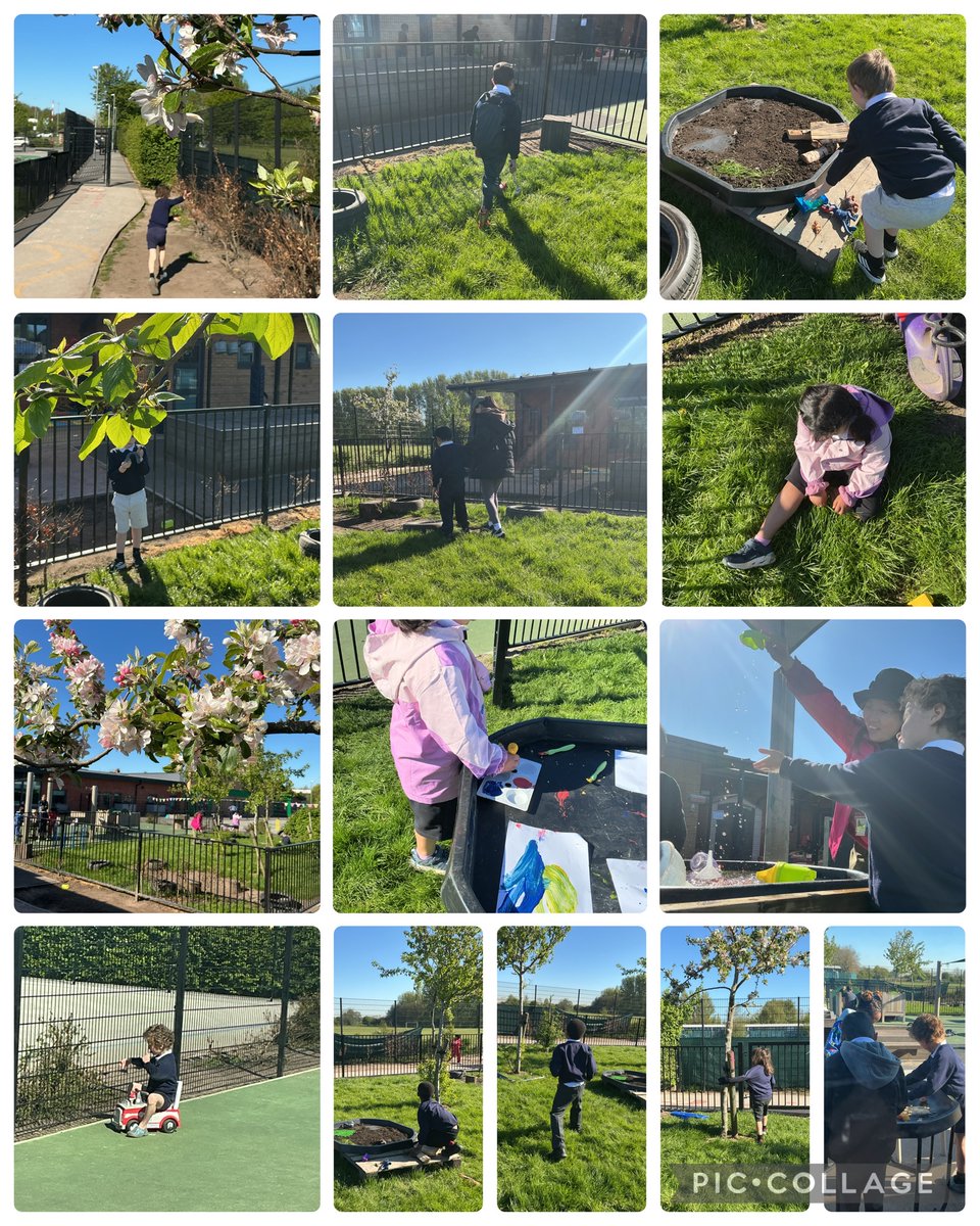 Orchards_School