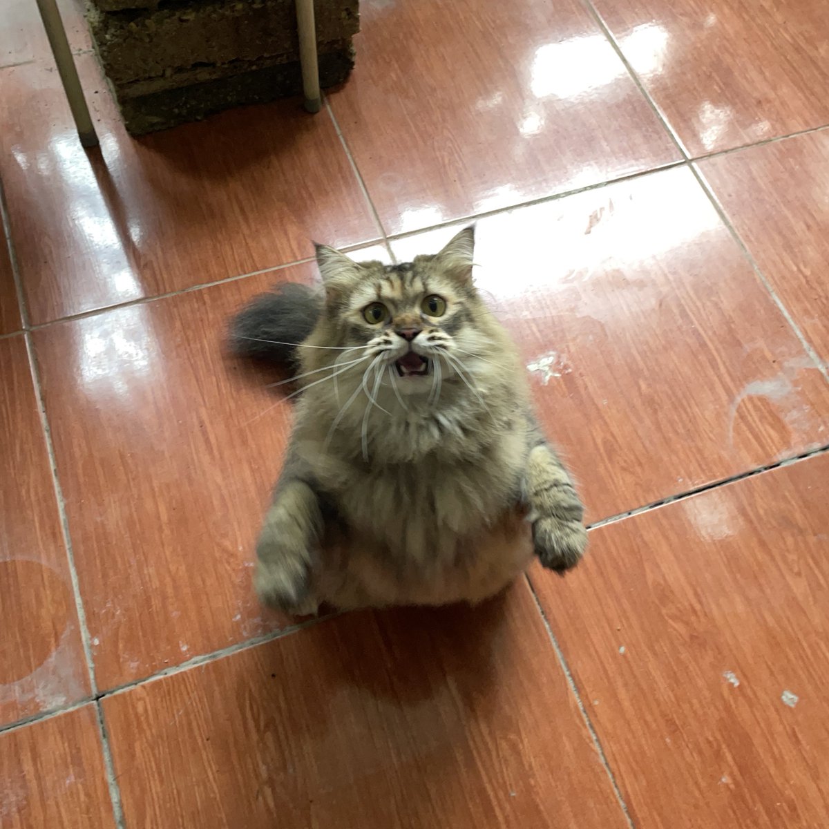 sudahh besarr tidaakk maauu di sunnnn!!!