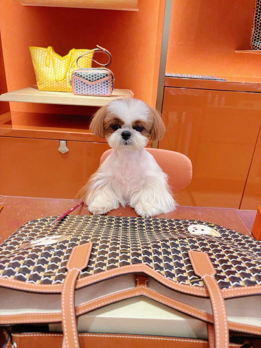 asapmako's tweet image. "A wagging tail and warm snuggles—pets turn ordinary days into magic.  #PetLove #DailyJoy"