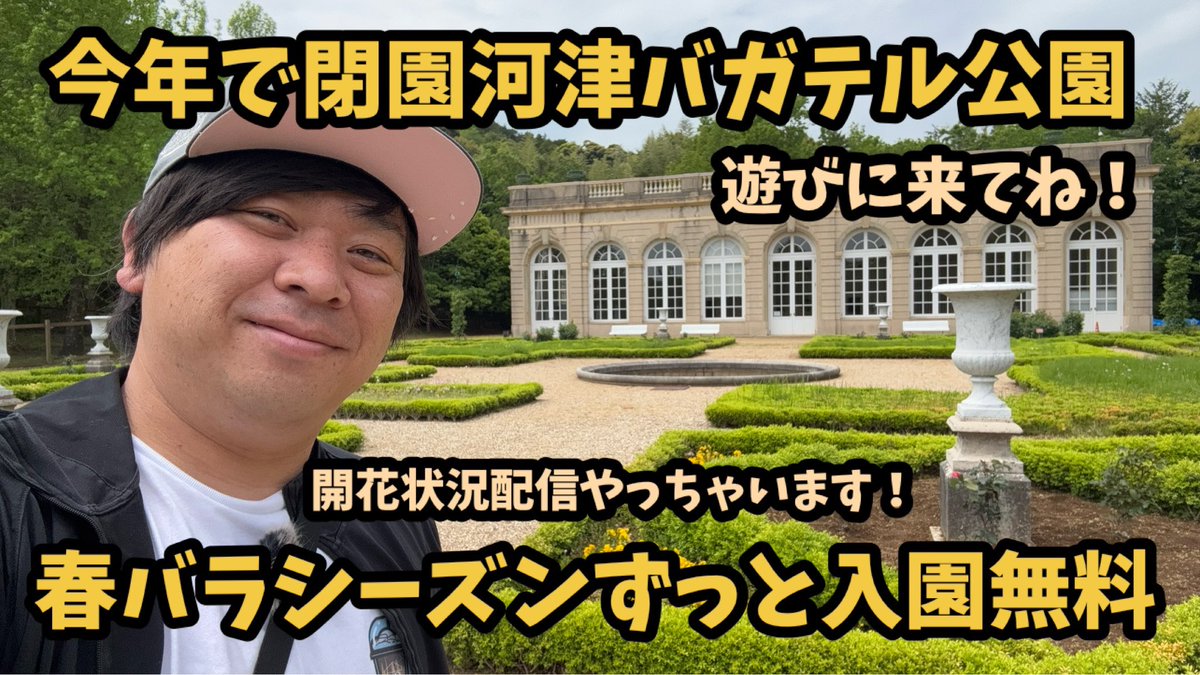 🌸つつけん🌸河津町(公認)まちづくりアンバサダー🌸河津桜の妖精🧚‍♀️ tweet media