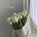 Albina Cowser tweet media