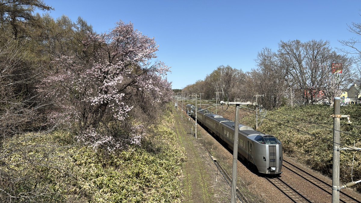 Charista Lukasta(かりすたるかすた)＠巡音ファンタジスタ tweet media