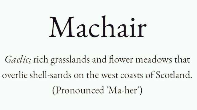 poshdirt's tweet image. #words #bildung #education