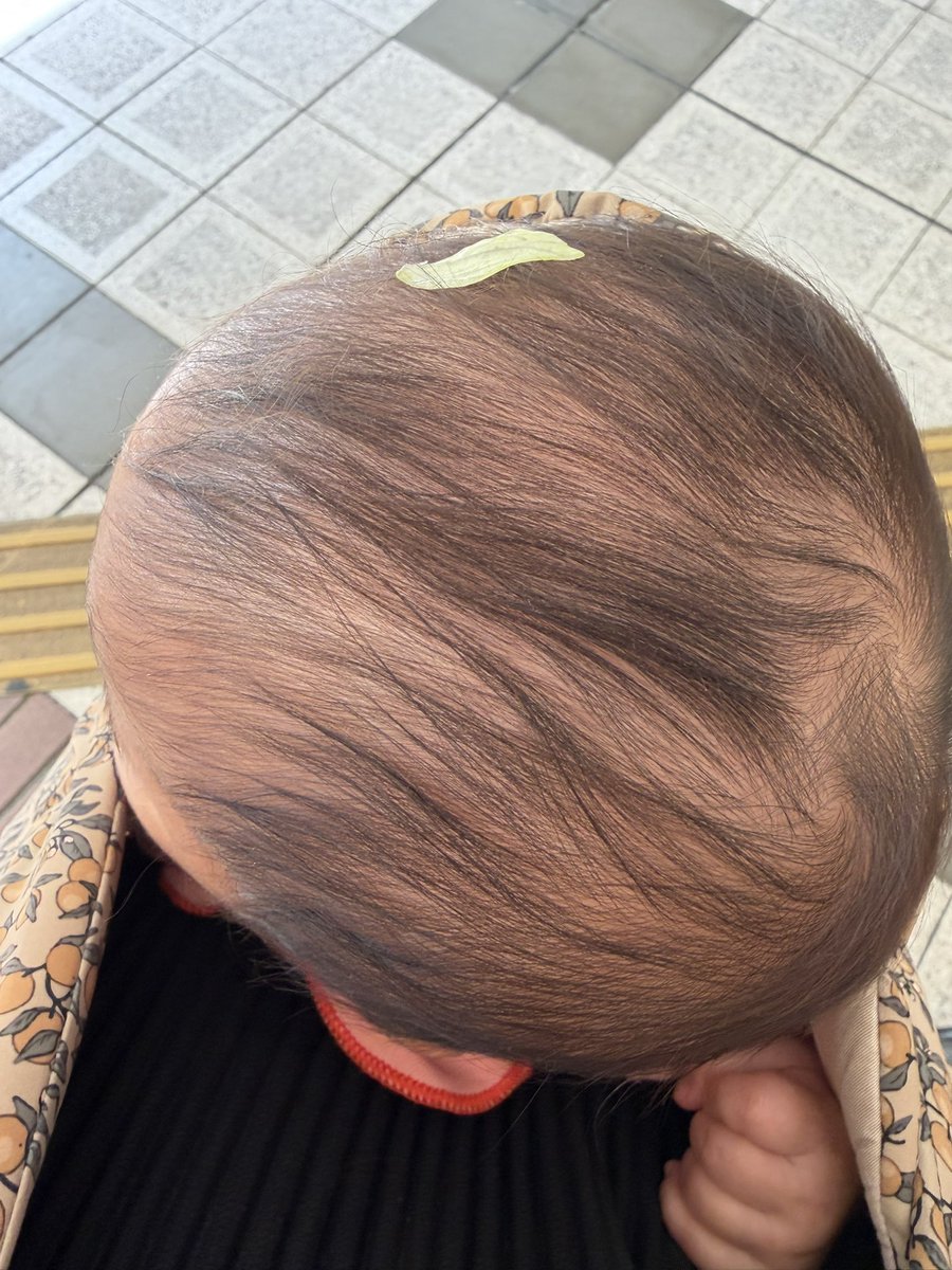 無限のアイ🍊 tweet media