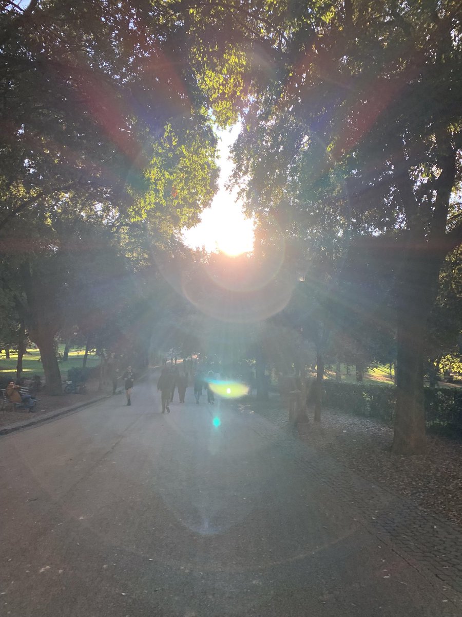 Lanlanvvv's tweet photo. The sunshine on the weekend is especially warm, as if calling us to step outside and explore all the wonderful things out there. Let's set out on this journey full of surprises, armed with dreams and hope. https://t.co/9IUgagi8Ap