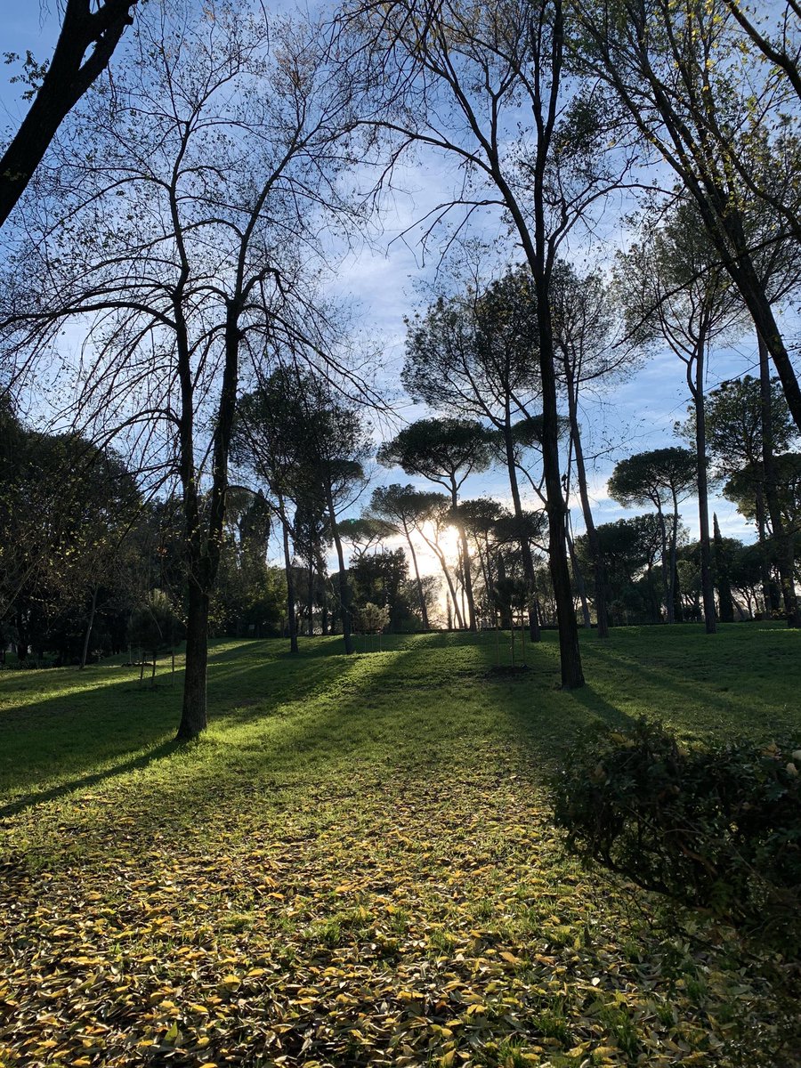 Lanlanvvv's tweet photo. The sunshine on the weekend is especially warm, as if calling us to step outside and explore all the wonderful things out there. Let's set out on this journey full of surprises, armed with dreams and hope. https://t.co/9IUgagi8Ap