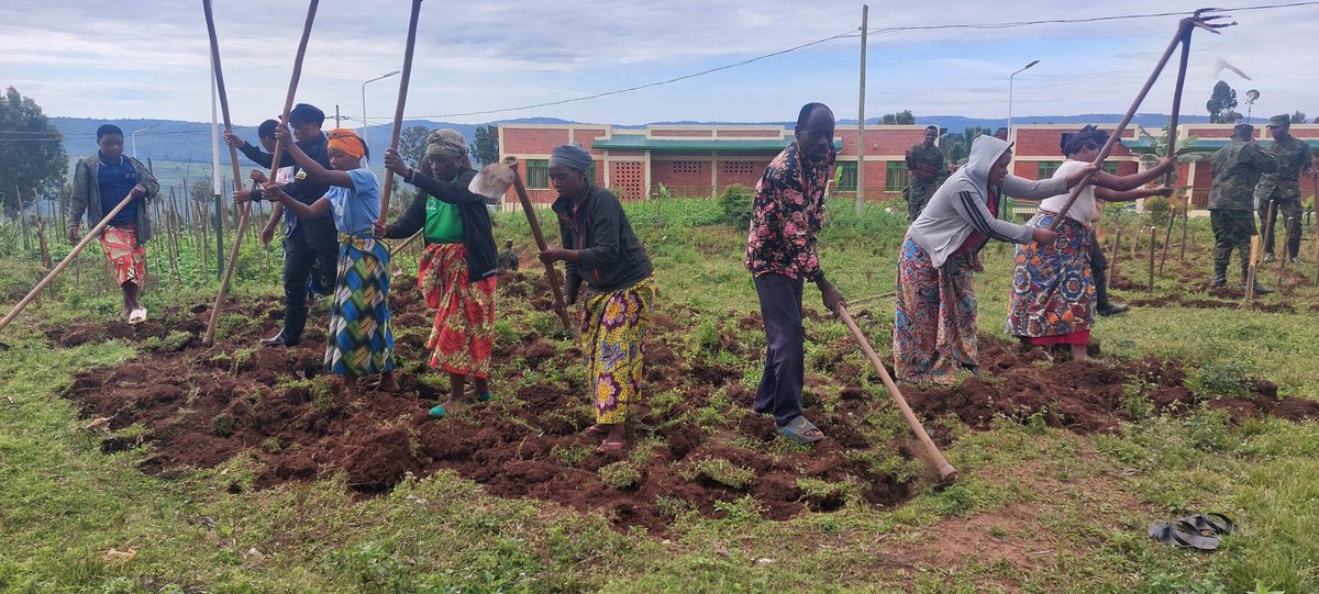 Nana_Naomi_I_M's tweet photo. Umuganda rusange usoza ukwezi kwa Mata 2026 ku rwego rwa @GicumbiDistrict uri kubera @Kaniga_Gicumbi, akagari ka #Mulindi mu mudugudu wa #Taba aho bari kurwanya imirire mibi n'igwingira bubaka uturima tw'igikoni.
Uretse uturima tw'igikoni kandi, haribandwa no ku kurwanya isuri hasiburwa imiyoboro y'amazi n'ibinogo bifata amazi, Hanateganyijwe kandi gusura umudugudu w'icyitegererezo wubatswe ku bufatanye na @GreenGicumbi, kugaburira abana indyo yuzuye no kubaha amata, ndetse no kuremera imiryango itishoboye ihabwa amatungo (Inka),...
