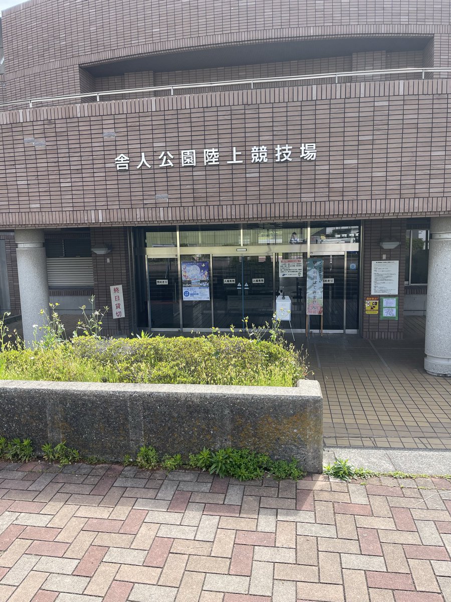 ロップス tweet media