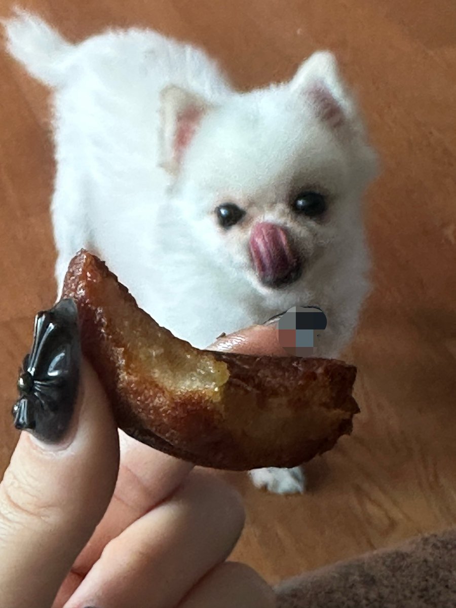 개똥이 tweet media