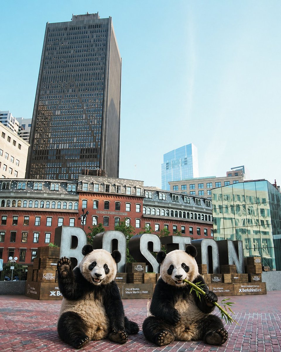 PingPing and FuShuang tweet media