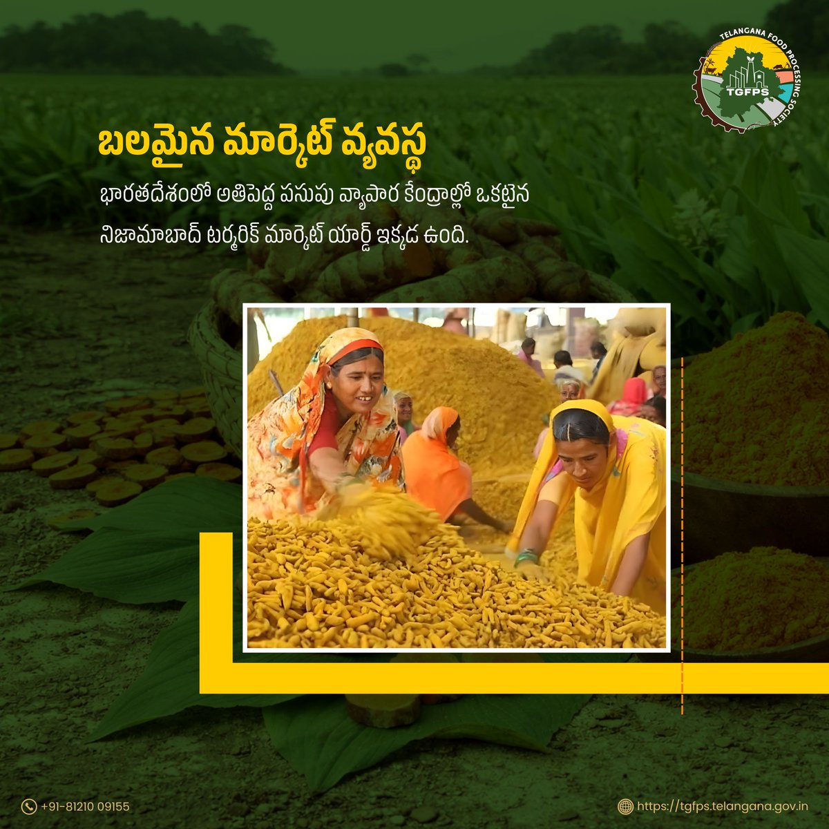 మీకు తెలుసా? 
అనుకూలమైన సాగు పరిస్థితులు మరియు బలమైన మార్కెట్ మద్దతుతో, తెలంగాణ పసుపు ఉత్పత్తిలో ముందంజలో ఉంది. 

#FoodProcessing #TGFPS #TelanganaRising #TurmericProduction #IndianSpices #Tumeric #SpiceTrade #IndianAgriculture #HarvestSeason