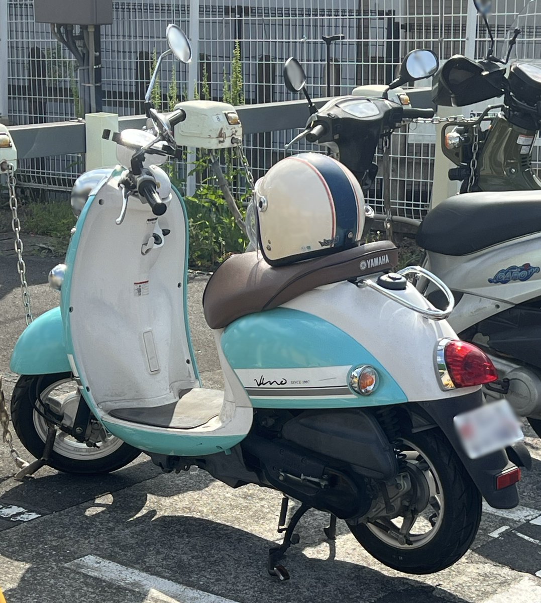 近くにしまりんおるわ絶対