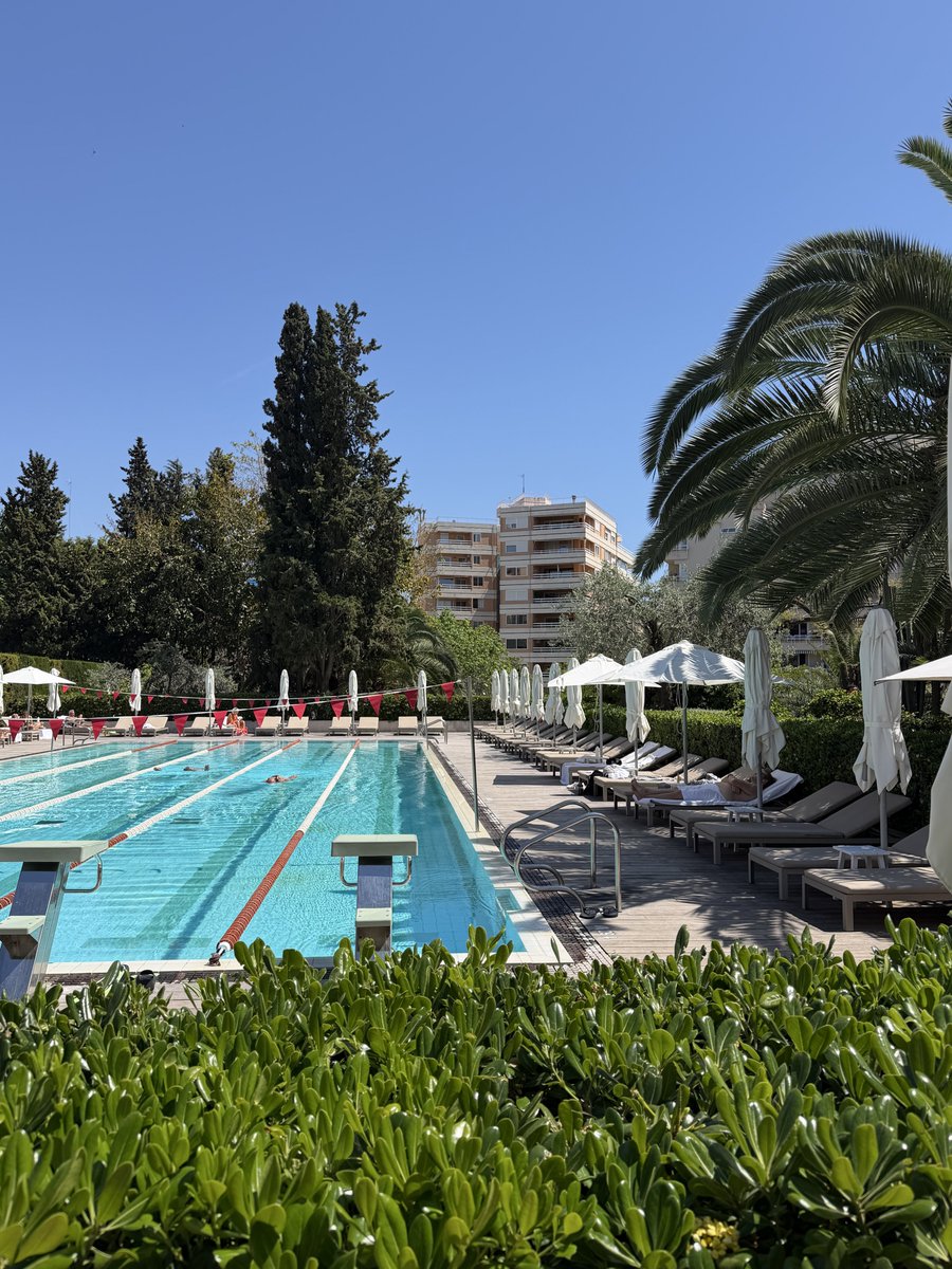 Alyonita tweet media